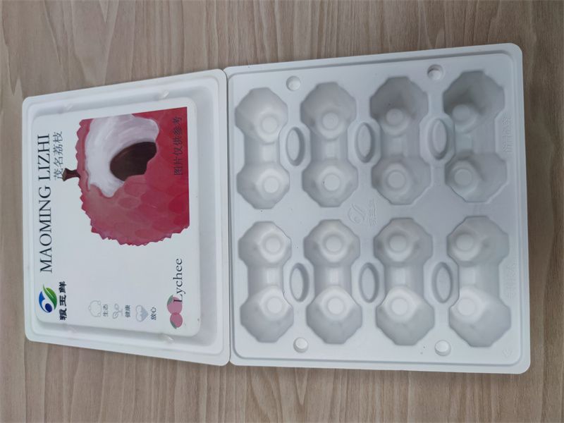 湛江纸托2